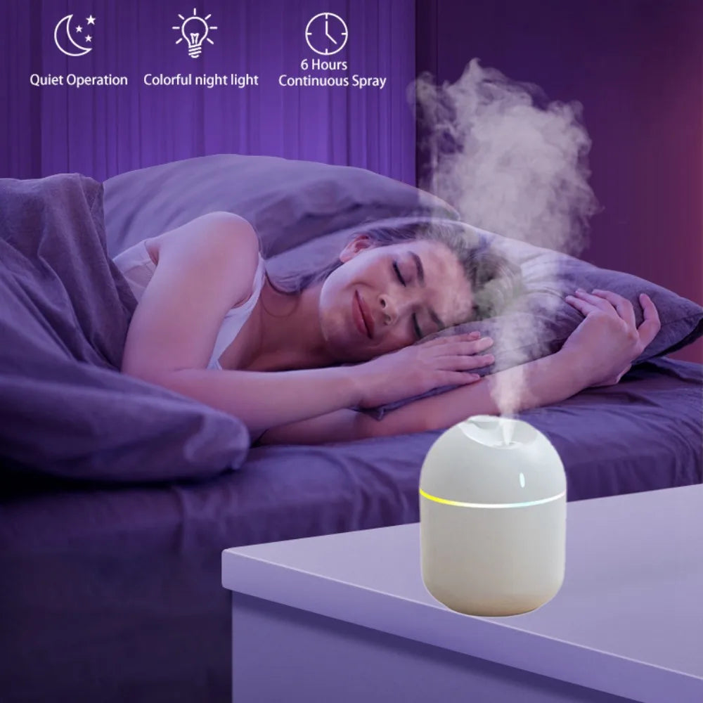Mini USB Humidifier