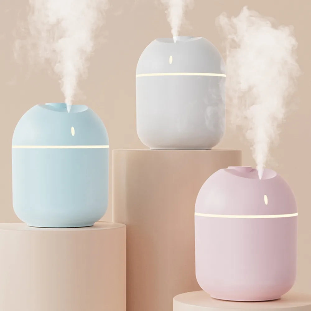 Mini USB Humidifier