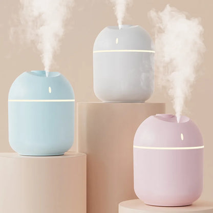 Mini USB Humidifier