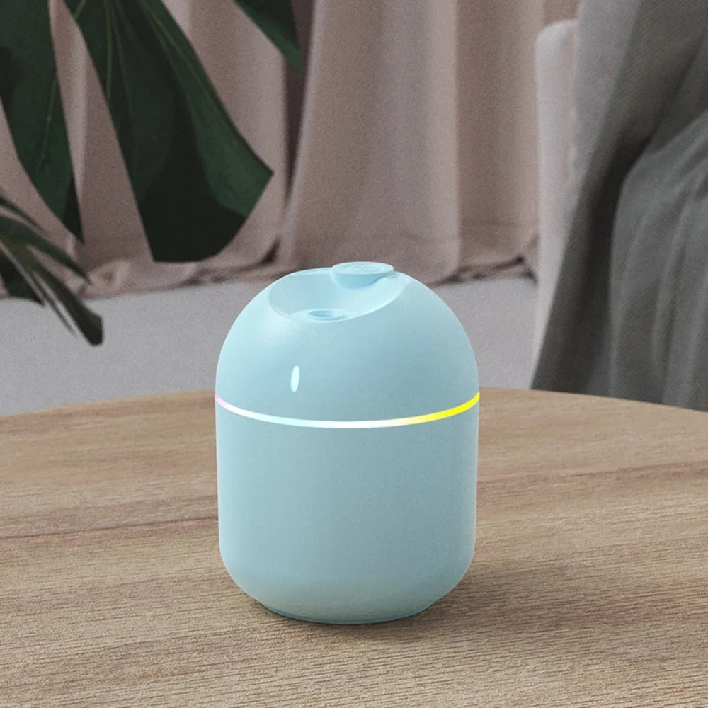 Mini USB Humidifier