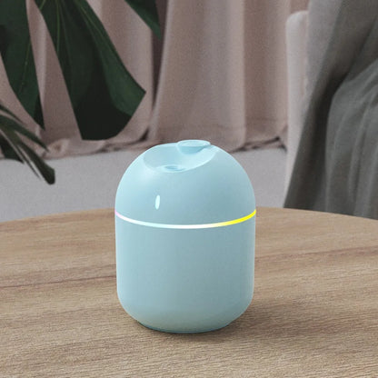 Mini USB Humidifier