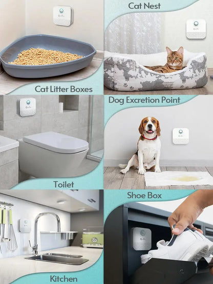 DownyPaws Smart Cat Litter Deodorizer