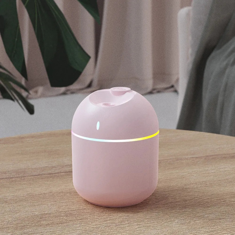 Mini USB Humidifier