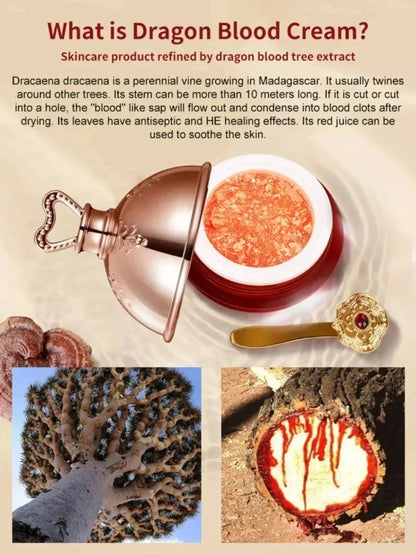 Dragon’s Blood Retinol Face Cream – Brightening, Lifting & Firming Placenta Essence Moisturizer | Anti-Aging Korean Skincare for Radiant, Youthful Skin