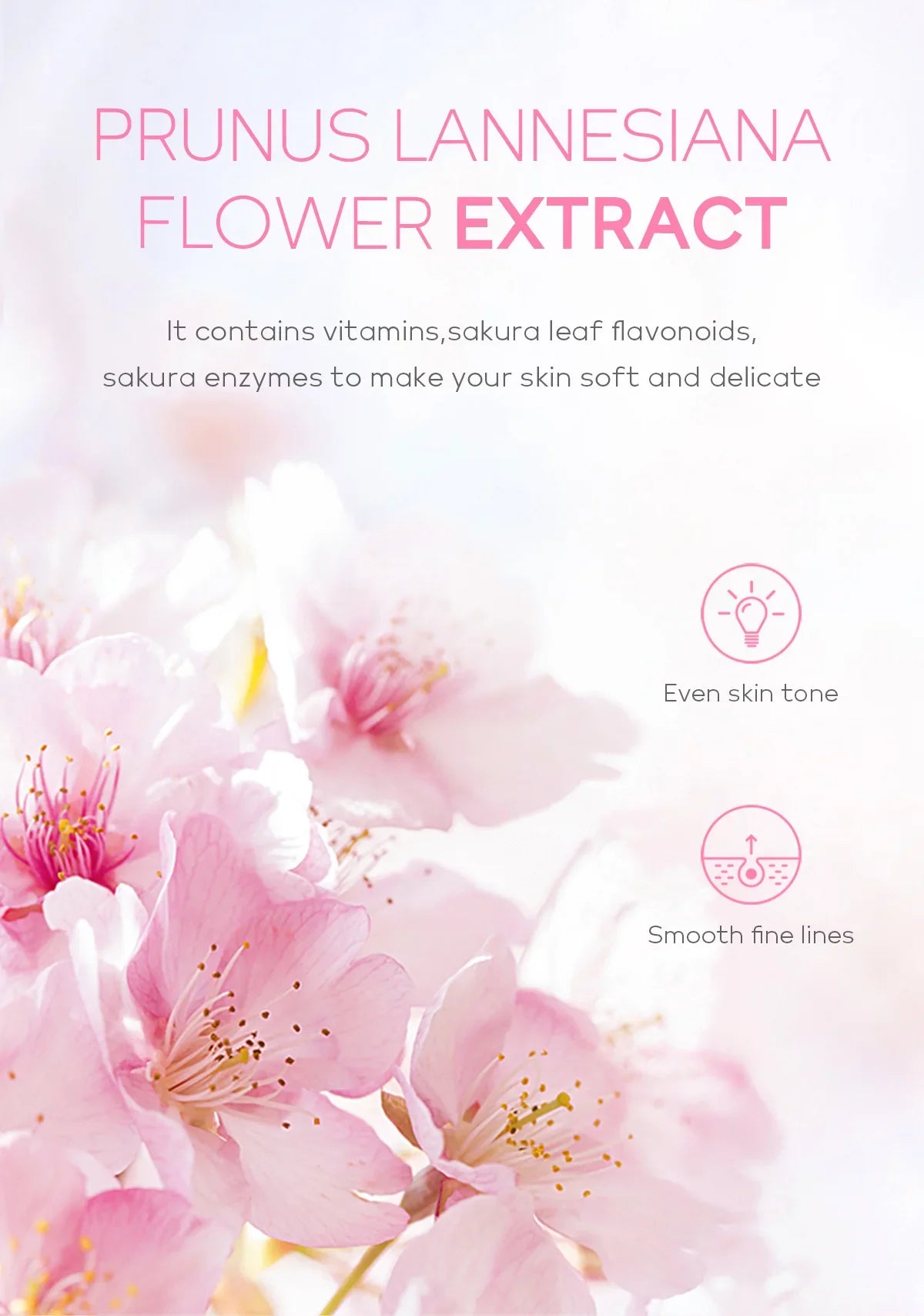 Sakura Exfoliating Gel – Deep Cleaning, Whitening & Moisturizing Cherry Blossom Facial Scrub
