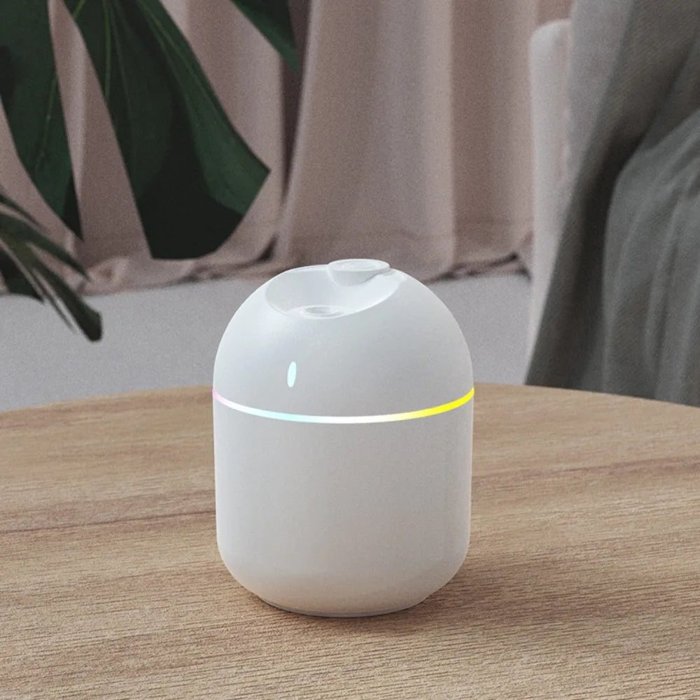 Mini USB Humidifier