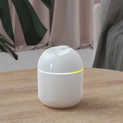 Mini USB Humidifier